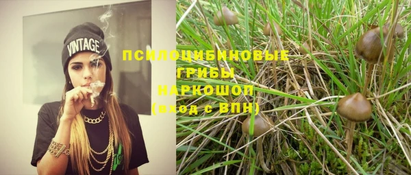 соль ск Верея