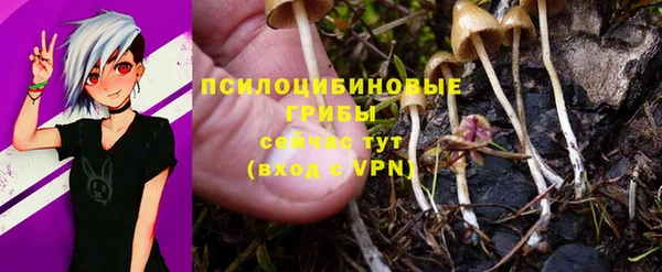 соль ск Верея