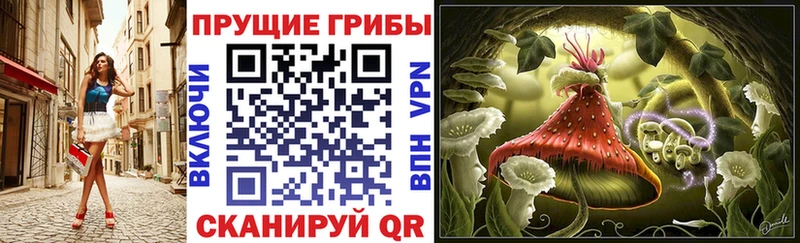 Купить закладки  Балаково  Псилоцибиновые грибы GOLDEN TEACHER 