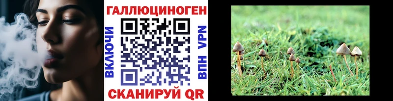Галлюциногенные грибы MAGIC MUSHROOMS Балаково
