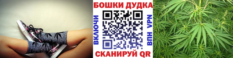Каннабис семена  Купить закладки  Балаково 
